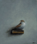 vrouwmus op plankje kijkt om  16 x 18 cm (verkocht)